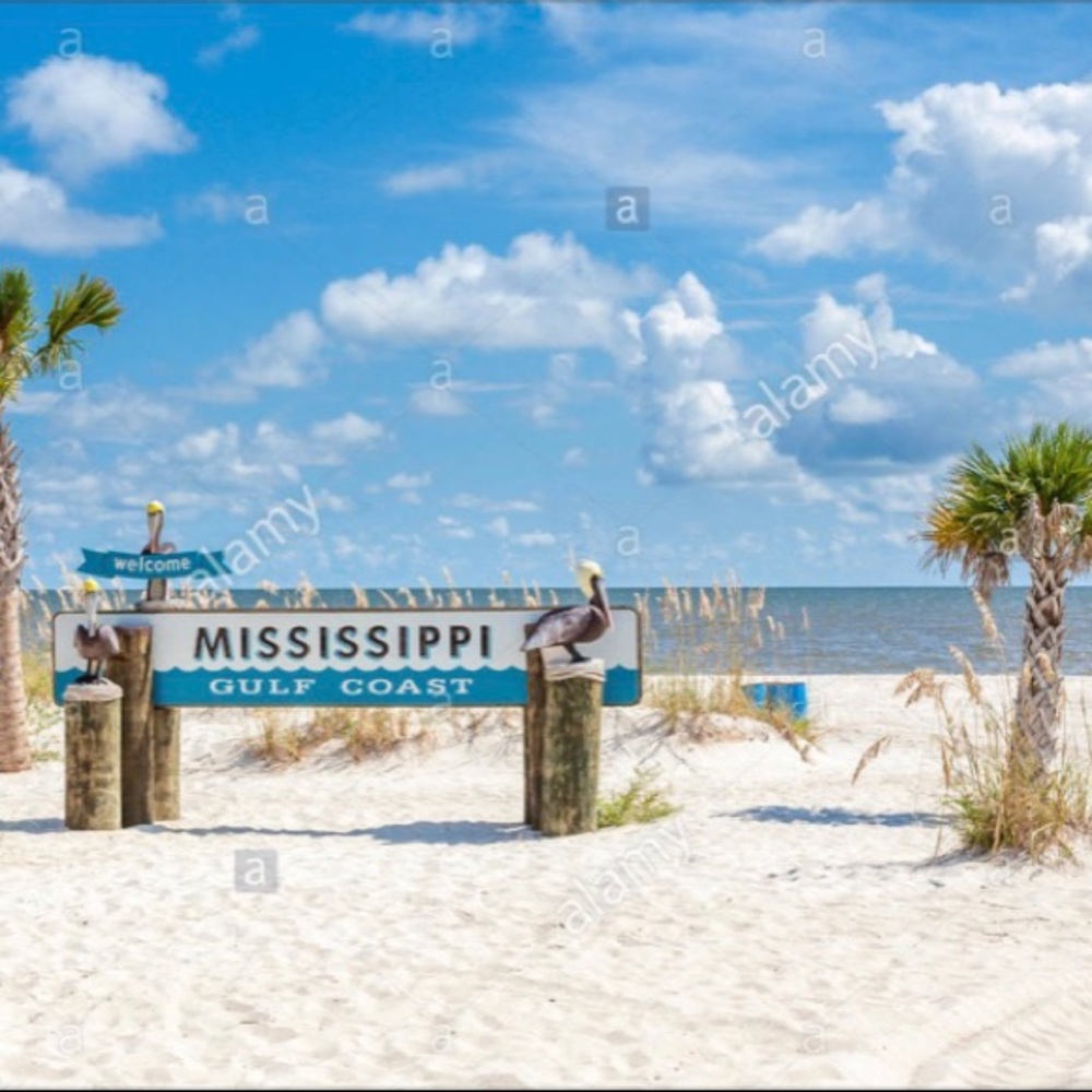 Meet your Posher, Gianna